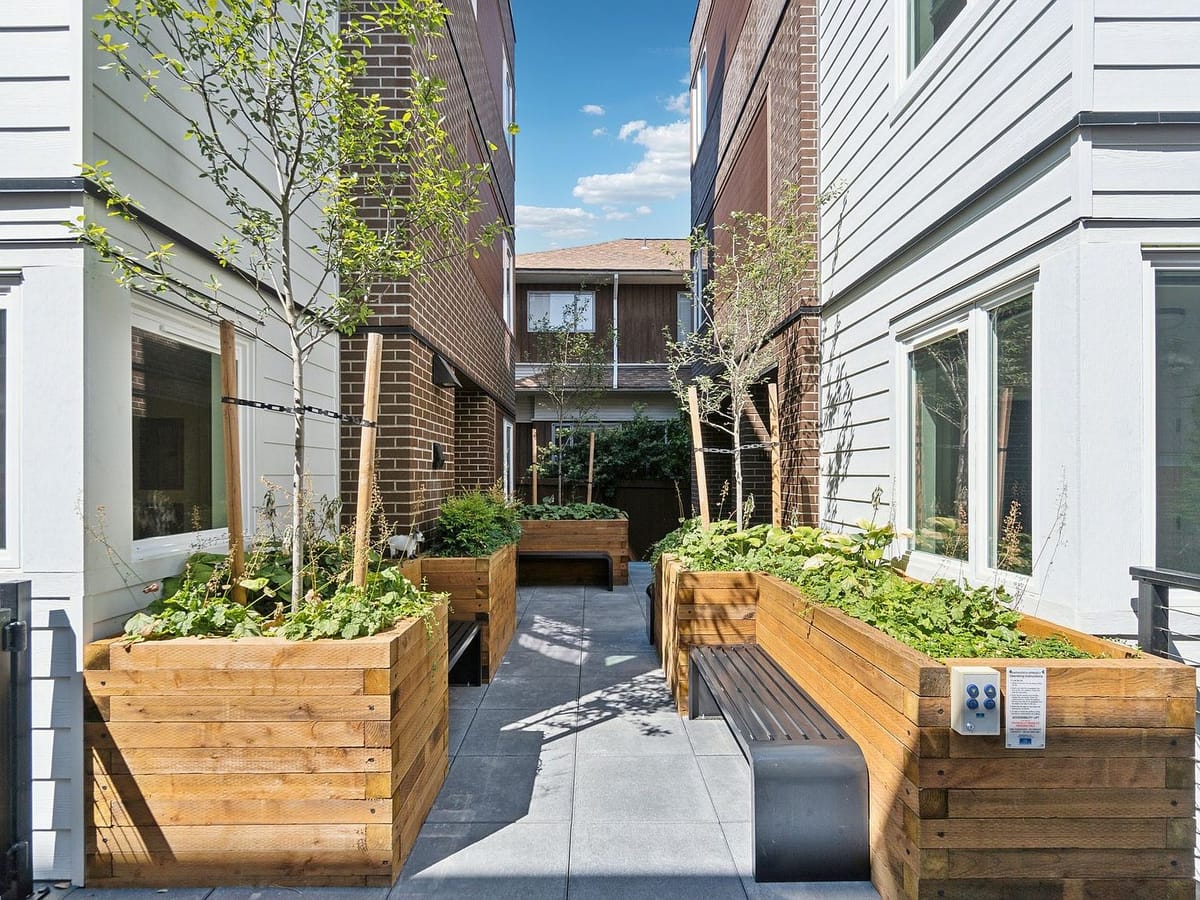 Courtyard with cedar planters between the buildings